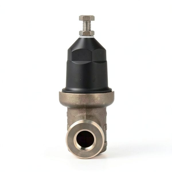 Zurn Wilkins 12-NR3XL 1/2" NR3XL Pressure Reducing Valve Single Union Female x Female NPT Connection-1