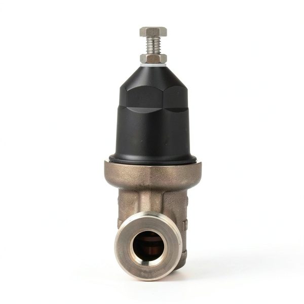 Zurn Wilkins 12-NR3XL 1/2" NR3XL Pressure Reducing Valve Single Union Female x Female NPT Connection-5